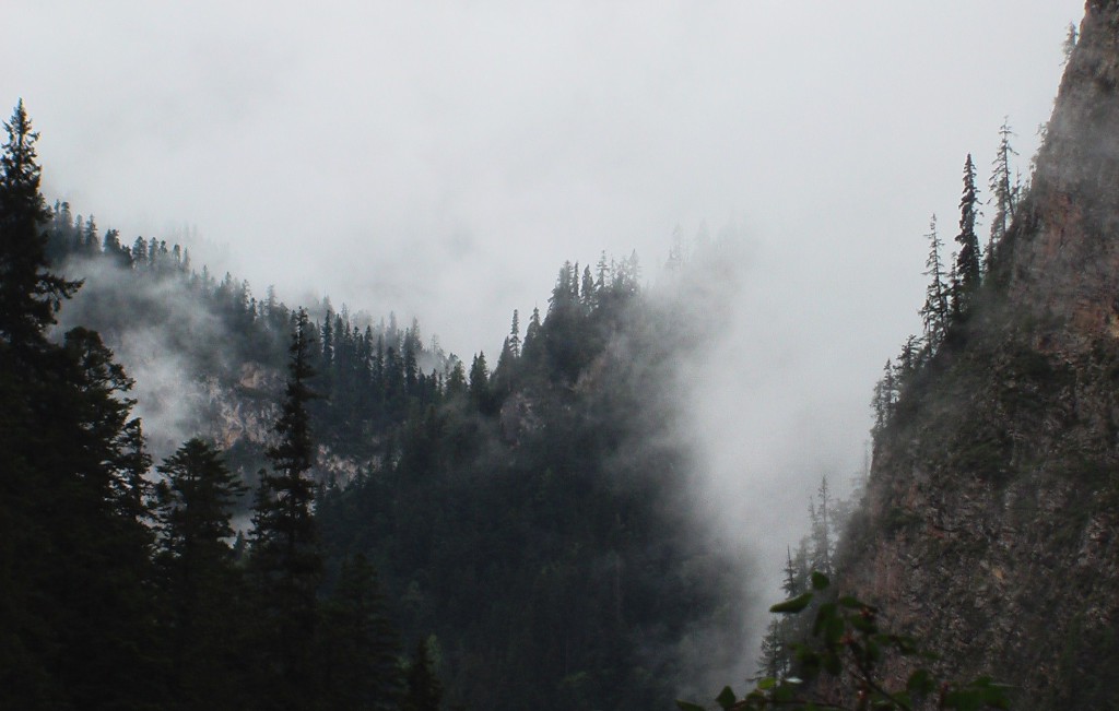 Jiuzhaigou Forêt 2 C