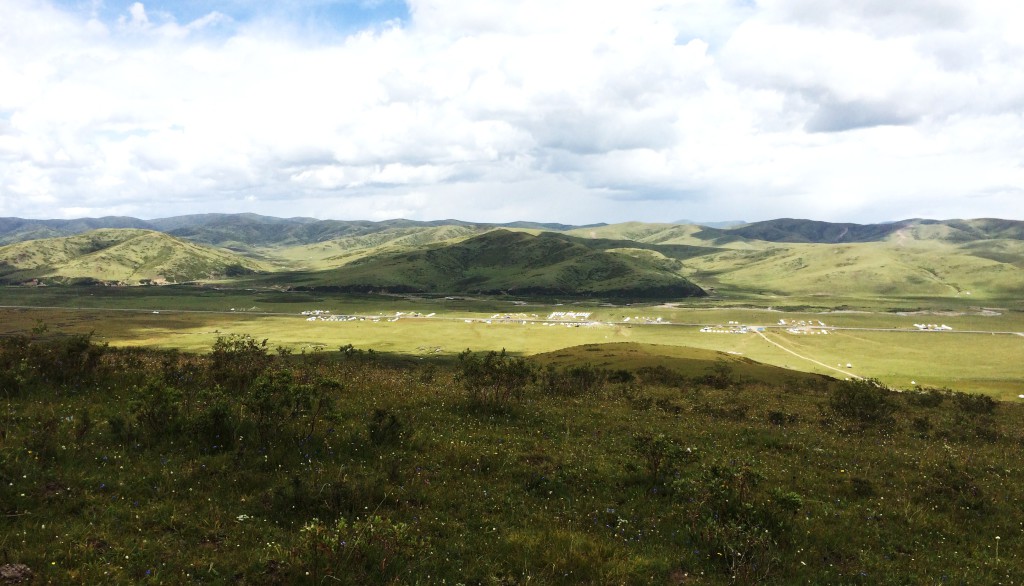 Grassland Prairie 4 M