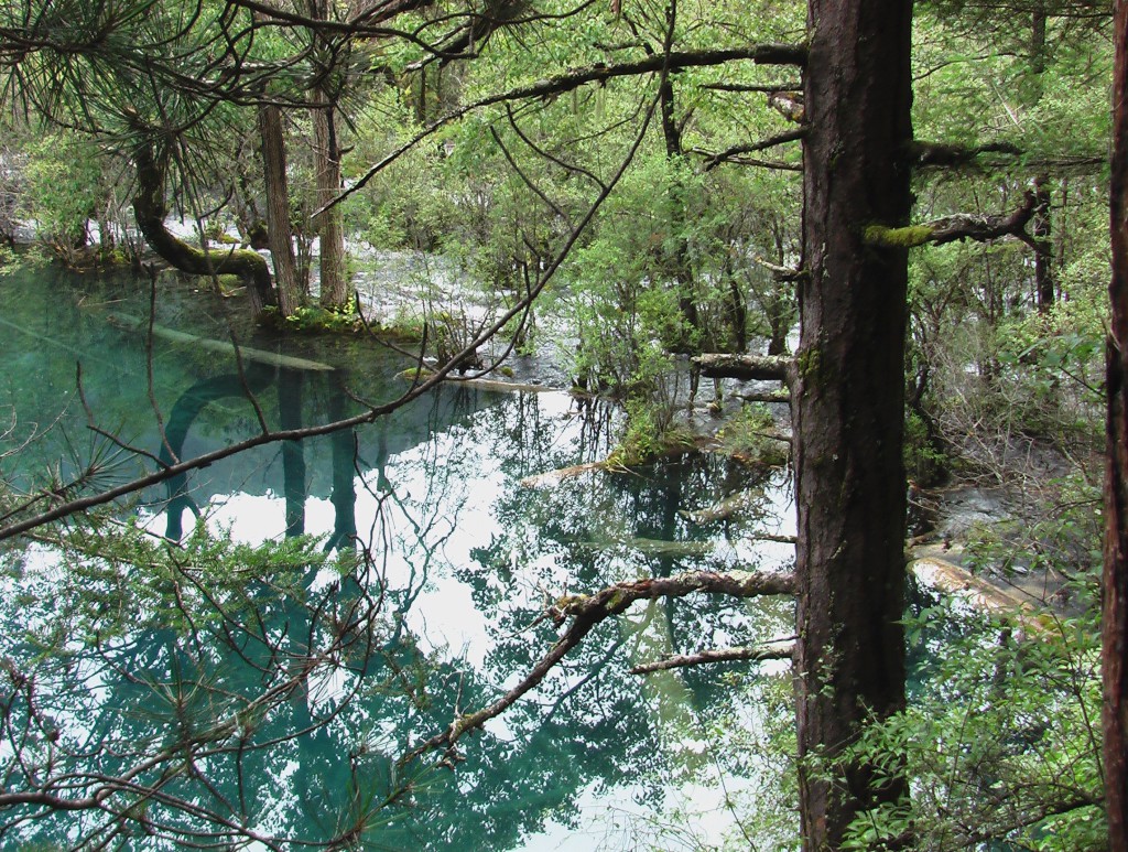 Jiuzhaigou Lac 9 C